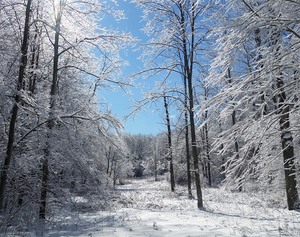 Several area nature centers offer visitors a chance to be one with the outdoors.