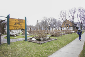 Miranda Hine started the Thornden Park Association in the 1980s and has worked since then to restore the 76-acre park. 