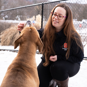 Alicia Slate, a student volunteer, works a new rescue dog. 